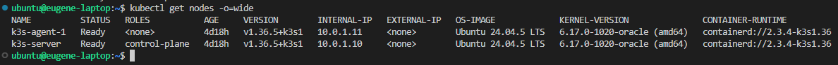 kubectl get nodes